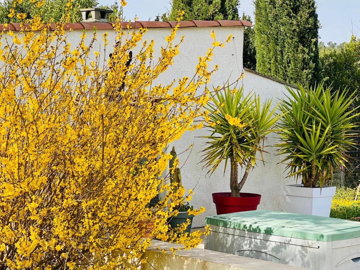 Bed and Breakfast Mas Des Tournevents Lézignan-Corbières Exteriér fotografie